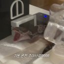 4394 | 렙타일 포럼 in 수원 후기｜입양병에 걸리다