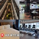 세종 여행 숙소 추천 베스트웨스턴 플러스 호텔 스탠다드룸 솔직 후기 (내돈내산)