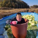 (주)대정농장 이미지