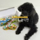 포인트독 | 강아지 습식사료 추천 베네독 캔 노령견 췌장염 관리후기