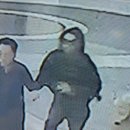 분당분당-A-20 이미지