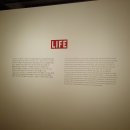 루트(루트에브리데이) 이미지