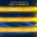 라이프라인 이미지