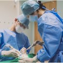 진해치과의원 이미지