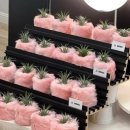 키즈포레스트 이미지