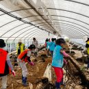 강서구-44 이미지