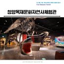 산림문화체험관 | 자연이 살아 숨쉬는 청양 목재문화자연사체험관 후기
