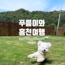 홍천 댕올라 강원도 600평 마당의 프라이빗 풀빌라 독채펜션
