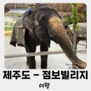 제주 점보빌리지 코끼리체험 아이와 실내공연 - 투어패스 좌석꿀팁