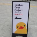 러버덕(Rubber Duck)이 있는 석촌호수에서 이미지