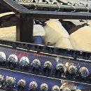 스노우밸리 이미지