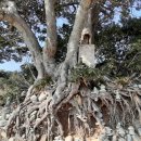 터미날21 이미지