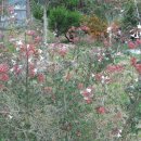 고흥군상하수도사업소 이미지