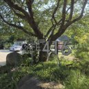 기장군보건소철마지소 이미지