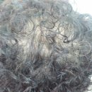 보문역 5번출구 이미지