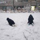 시흥대야동우체국 | 우체국 등기 한번 못 받으면 우체국으로 - 우편무인접수기 사용법