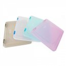 모닝글로리 이미지