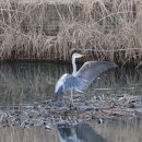 경포호수 1 이미지