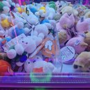 요기뽑기요 청라수변점 | 요기뽑기요 청라수변점 : 그로밋 뽑기 성공! 청라 인형뽑기, 여기 좋은 인형 많아요!