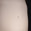 아라리오 뮤지엄 탑동 시네마 이미지