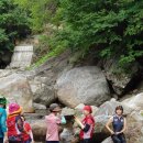 목통산장