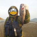 잡고굽고 이미지