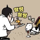 삼호짱뚱이 네이버블로그