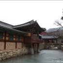 순천-59호 티스토리