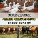 친환경화식농장 | [농축산저널] 이오렉스 이온수처리기, 축산 생산성·계란 품질개선하는 혁신기술!