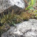 꽃들 태양광발전소 이미지