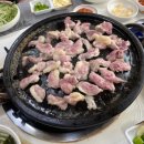 햇살마루청둥오리 이미지