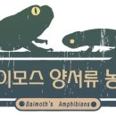 영상농장 이미지