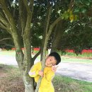 제주영락유치원 이미지