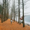 은성목장 이미지