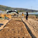 동혁농장 이미지