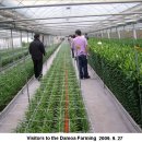 다모아농장 이미지