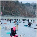 로하스민박 이미지