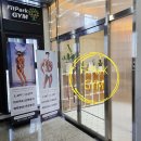 피트파크짐 이미지