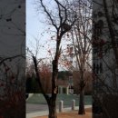 감 이야기 캠핑장 이미지