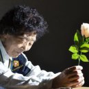 백마자원 이미지