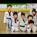 비사태권스쿨 이미지