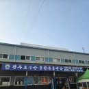 소라수선 - 공주시 산성시장4길 94-4 | [용인 기흥구] 포장전문 회센터 활주로수선 내돈내산 솔직후기