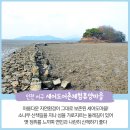 세어도어촌체험휴양마을 이미지