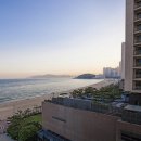 팔레드시즈 이미지
