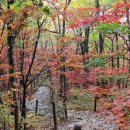 산어울림 산악회10월 십이선녀탕산행! 이미지