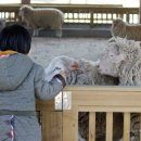 그린좌대2 낚시터 이미지