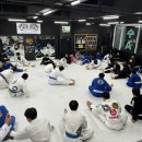 칼슨그레이시 코리아 이미지