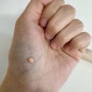 보나의밤 | 밸런싱 포어 밤 프라이머 내돈내산 후기 :: 유투버 추천템? 유분 폭발에 실망한 썰 (feat.보나 메두사)