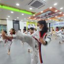 경희대 하길  태권도장 이미지