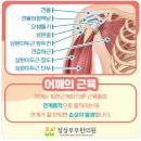 정성부부한의원 이미지